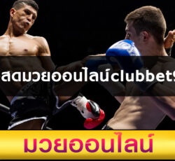 แทงสดมวยออนไลน์clubbet999