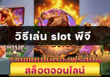 วิธีเล่น slot พีจี